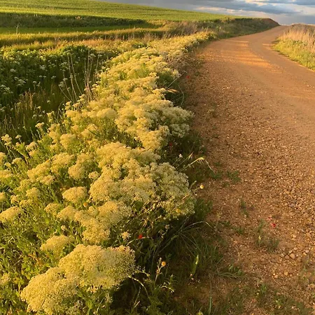 בית אירוח Bliss Lagunas De Villafafila *