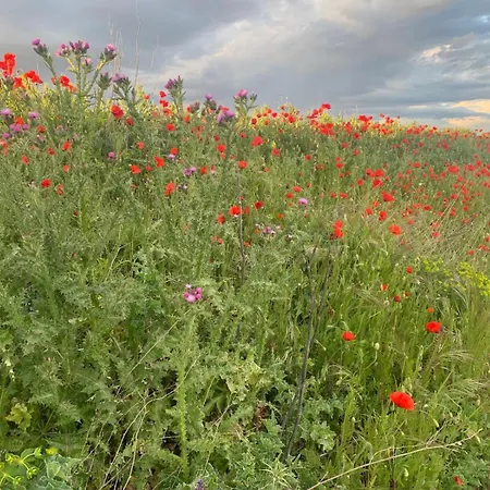 Bliss Lagunas De Villafafila בית אירוח