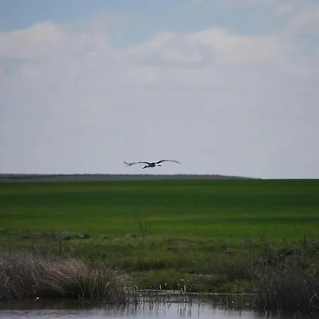 Bliss Lagunas De Villafafila * Villalba de la Lampreana