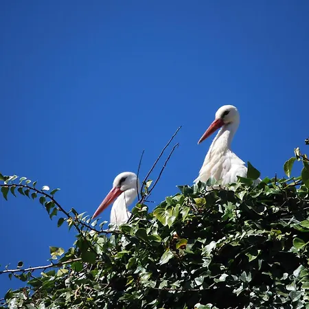 Bliss Lagunas De Villafafila Accommodatie bij particulieren