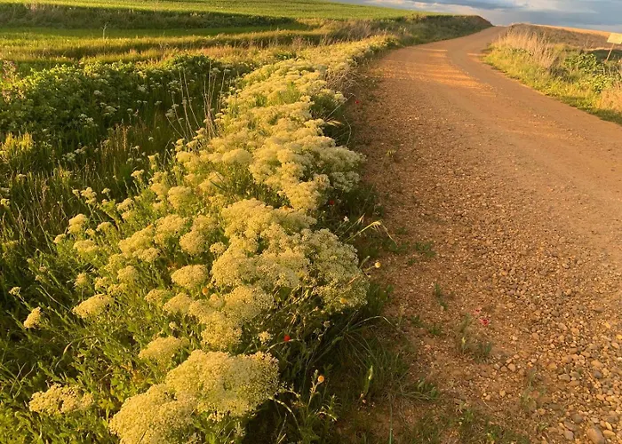 Kwatera prywatna Bliss Lagunas De Villafafila *