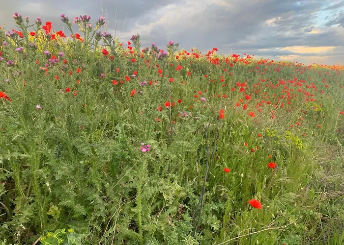 Bliss Lagunas De Villafafila Kwatera prywatna