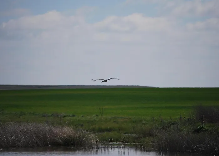 Bliss Lagunas De Villafafila * Villalba de la Lampreana