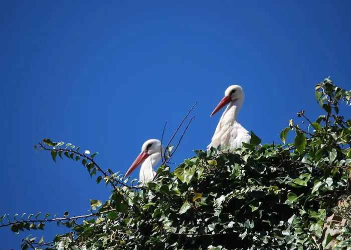 Bliss Lagunas De Villafafila Kwatera prywatna